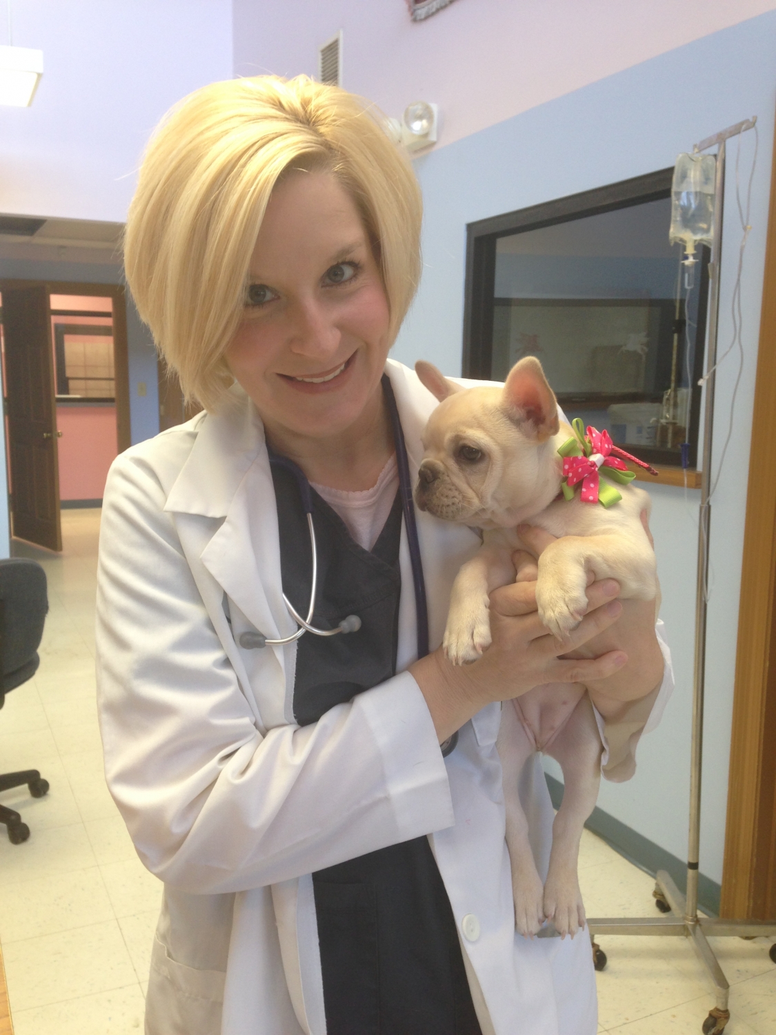 Pine Belt Veterinary Hospital and Kennel, Veterinarian, Hattiesburg, MS